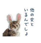 メンヘラ猫彼女【カップル・彼氏・猫】（個別スタンプ：2）