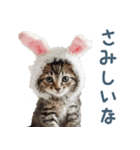 メンヘラ猫彼女【カップル・彼氏・猫】（個別スタンプ：3）