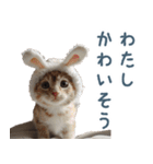 メンヘラ猫彼女【カップル・彼氏・猫】（個別スタンプ：9）