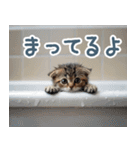 メンヘラ猫彼女【カップル・彼氏・猫】（個別スタンプ：10）