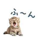 メンヘラ猫彼女【カップル・彼氏・猫】（個別スタンプ：11）