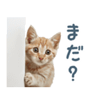 メンヘラ猫彼女【カップル・彼氏・猫】（個別スタンプ：13）