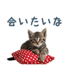 メンヘラ猫彼女【カップル・彼氏・猫】（個別スタンプ：18）