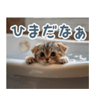 メンヘラ猫彼女【カップル・彼氏・猫】（個別スタンプ：20）