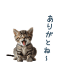 メンヘラ猫彼女【カップル・彼氏・猫】（個別スタンプ：27）