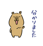 カピすけ 日常会話7(敬語)【修正版】（個別スタンプ：4）