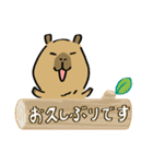 カピすけ 日常会話7(敬語)【修正版】（個別スタンプ：29）