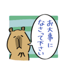 カピすけ 日常会話7(敬語)【修正版】（個別スタンプ：33）