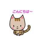 ちびねこチャック（個別スタンプ：3）