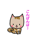 ちびねこチャック（個別スタンプ：4）