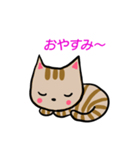 ちびねこチャック（個別スタンプ：5）