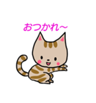 ちびねこチャック（個別スタンプ：6）