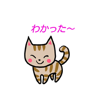 ちびねこチャック（個別スタンプ：14）