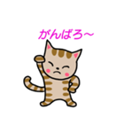 ちびねこチャック（個別スタンプ：18）