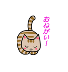 ちびねこチャック（個別スタンプ：25）