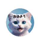 白い子猫のお返事（個別スタンプ：1）