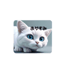 白い子猫のお返事（個別スタンプ：2）