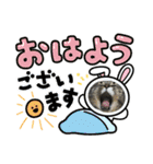 プリココスタンプ（個別スタンプ：16）