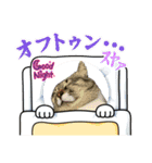 プリココスタンプ（個別スタンプ：17）