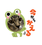 プリココスタンプ（個別スタンプ：19）