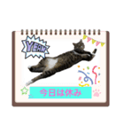 プリココスタンプ（個別スタンプ：22）