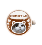 きらべるのスタンプ2（個別スタンプ：1）