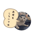 きらべるのスタンプ2（個別スタンプ：14）