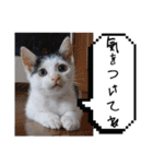 きらべるのスタンプ2（個別スタンプ：16）