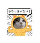 きらべるのスタンプ2（個別スタンプ：18）