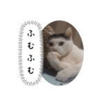 きらべるのスタンプ2（個別スタンプ：20）