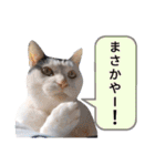 きらべるのスタンプ2（個別スタンプ：24）