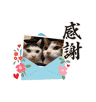 きらべるのスタンプ2（個別スタンプ：31）