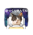 きらべるのスタンプ2（個別スタンプ：35）