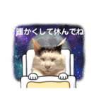 きらべるのスタンプ2（個別スタンプ：36）