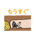 うさぎ御三家 雑多（個別スタンプ：4）