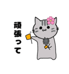 推し活もふねこ[満開さくら]／グレー（個別スタンプ：15）