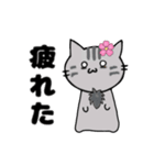 推し活もふねこ[満開さくら]／グレー（個別スタンプ：17）