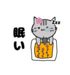 推し活もふねこ[満開さくら]／グレー（個別スタンプ：18）