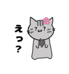 推し活もふねこ[満開さくら]／グレー（個別スタンプ：22）