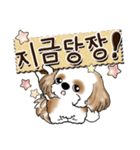 シーズー犬 『韓国語だけ』2（個別スタンプ：3）