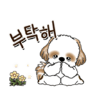 シーズー犬 『韓国語だけ』2（個別スタンプ：4）
