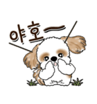 シーズー犬 『韓国語だけ』2（個別スタンプ：6）