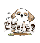 シーズー犬 『韓国語だけ』2（個別スタンプ：7）