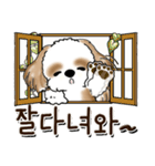 シーズー犬 『韓国語だけ』2（個別スタンプ：9）