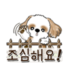 シーズー犬 『韓国語だけ』2（個別スタンプ：10）