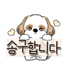 シーズー犬 『韓国語だけ』2（個別スタンプ：11）