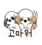 シーズー犬 『韓国語だけ』2（個別スタンプ：12）