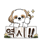 シーズー犬 『韓国語だけ』2（個別スタンプ：14）