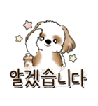 シーズー犬 『韓国語だけ』2（個別スタンプ：17）