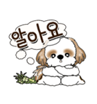 シーズー犬 『韓国語だけ』2（個別スタンプ：18）